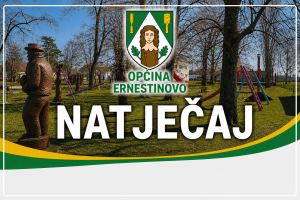 JAVNI NATJEČAJ za financiranje programa i projekata udruga građana iz Proračuna Općine Ernestinovo za 2026. godinu